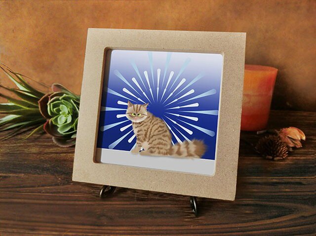 猫 *花火* 茶トラちゃん編の画像1枚目