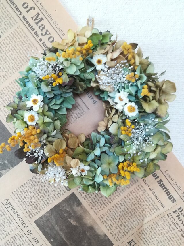 [送料無料]ドライフラワーリース◆あじさいとミモザと、