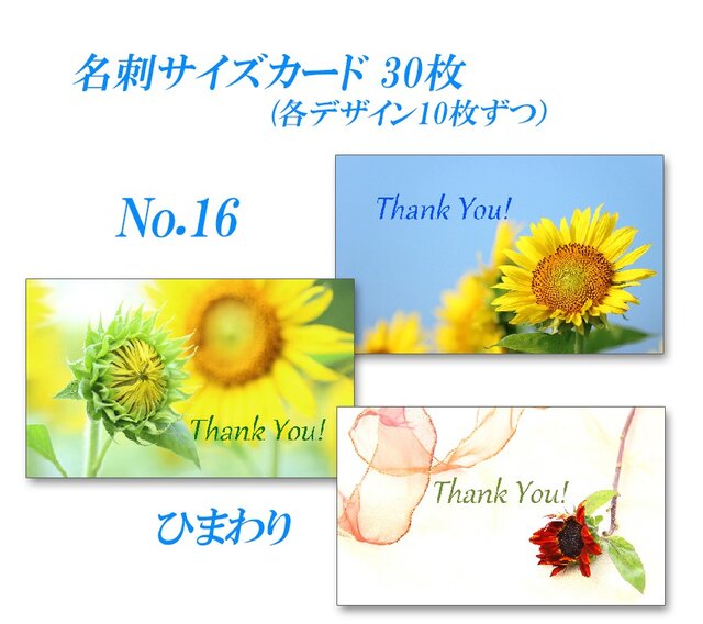No.016 夏！ヒマワリ 1 名刺サイズサンキューカード 30枚 | iichi 日々