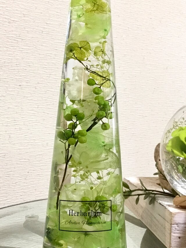 ハーバリウム 葵の画像1枚目
