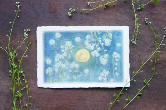 絵葉書【forget me not】の画像1枚目