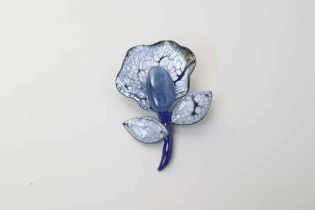 カイヤナイトの花の画像1枚目