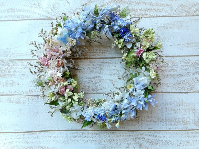 初夏の花々の画像1枚目