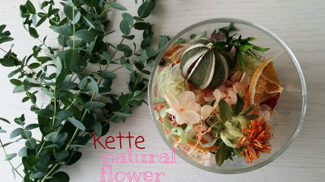 ナチュラル・ドライフラワー ボタニカルの植物園♪ | iichi 日々