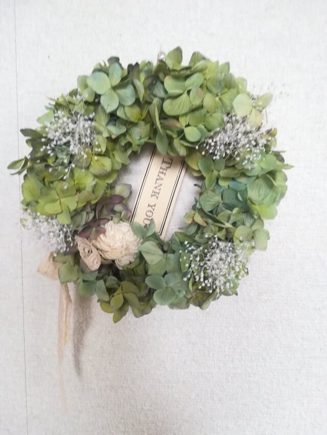 [送料無料]ドライフラワーリース◆スターチスと、