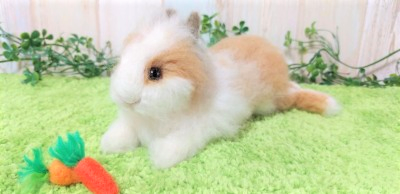 オーダー】うさぎLサイズ | iichi 日々の暮らしを心地よくする オーダー】うさぎLサイズ | iichi 日々の暮らしを心地よくする