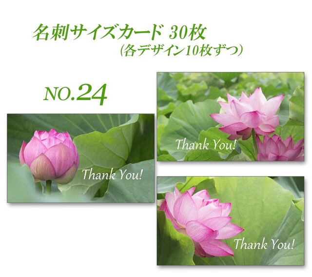 Nunew 名刺 37b01307d2bb6599d6e70fa4128103