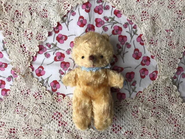ハリネズミみたいなクマ。ゴールドちゃんの画像1枚目