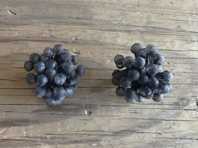 【オーダー品】Quguriピアス「Spores 黒凝」の画像1枚目