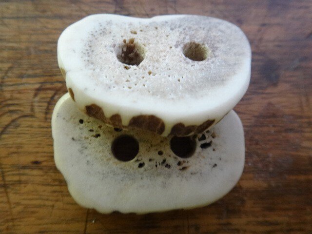 鹿角のコンチョボタン2個セットの画像1枚目
