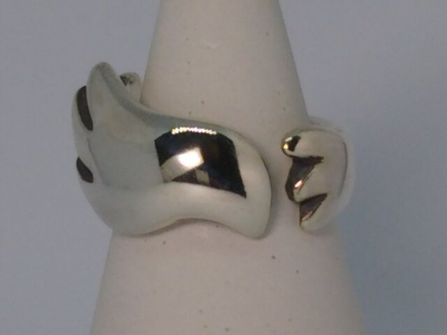 Bird ringの画像1枚目