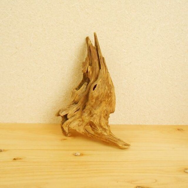 【温泉流木】薄く繊細な流木美 流木オブジェ 流木インテリアの画像1枚目
