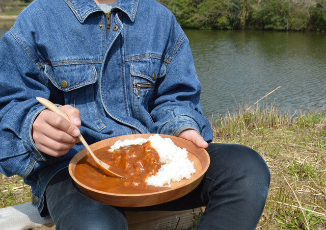 【数量追加◎】カレーが美味しい桜の丸皿 cherry round platter サクラ 大平皿 0051の画像1枚目