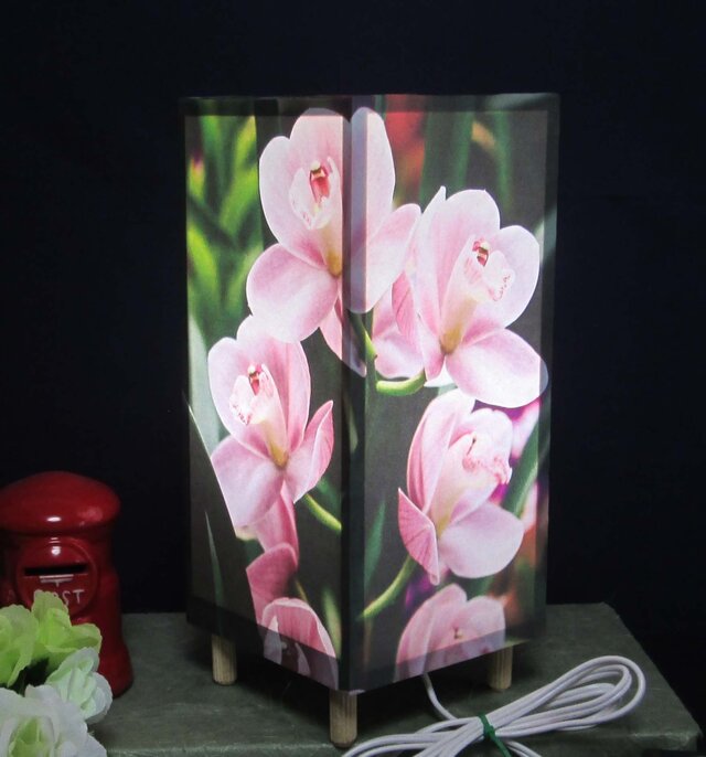 夢明かり≪胡蝶蘭の安らぎ≫ 紙貼・中形・LED 飾りライトの醍醐味を!!の画像1枚目