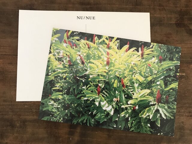 ハワイの画像1枚目