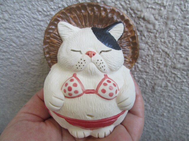 ビキニ★エキゾチックショートヘア(♀)①の画像1枚目