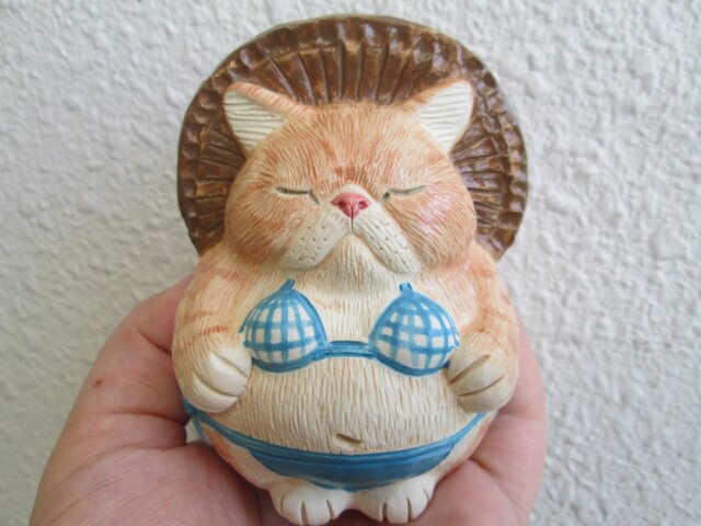 ビキニ★エキゾチックショートヘア(♀)②の画像1枚目