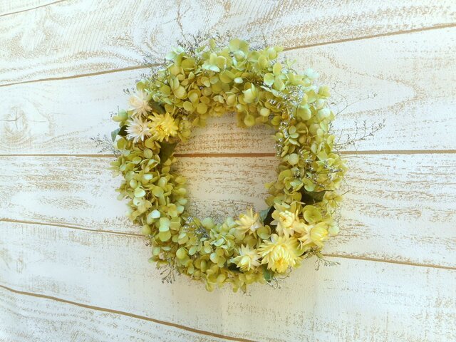アナベルの花環の画像1枚目