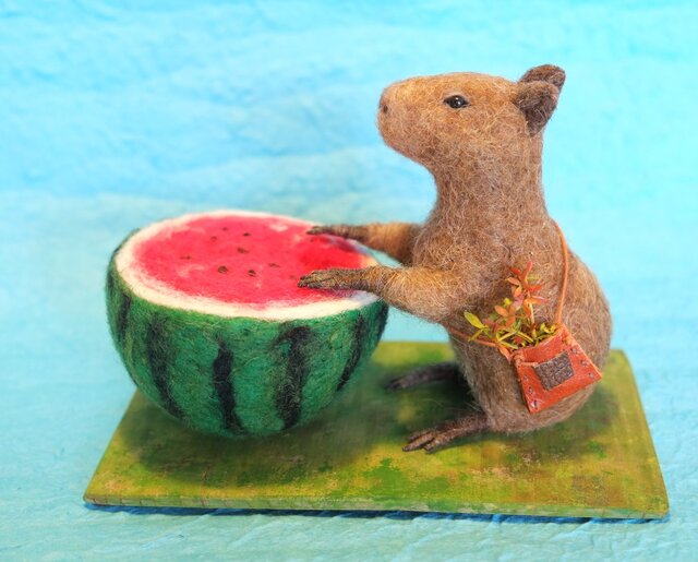 すいか(カピバラ)の画像1枚目