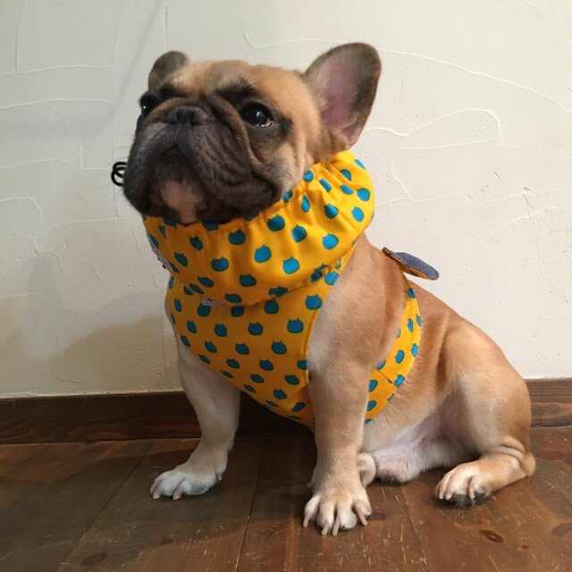 犬服【オーダー製作】クールスヌード&クールエプロンSetの画像1枚目