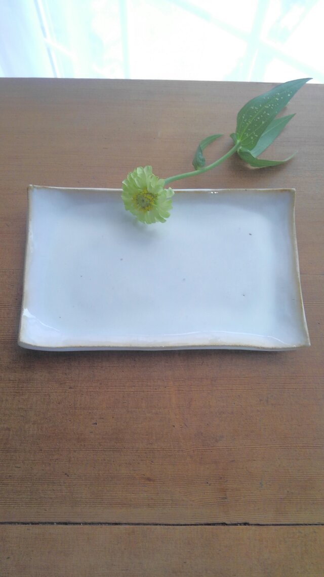 しかくいお皿の画像1枚目