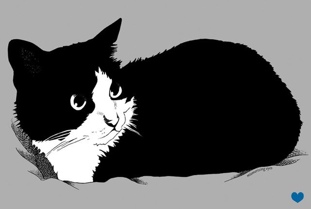 最高の白黒 猫 ハチワレ イラスト ディズニー画像のすべて