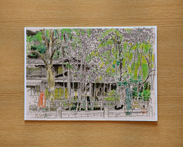 A4サイズ「 京都 哲学の道 新緑」 京の水彩画工房 | iichi 日々の