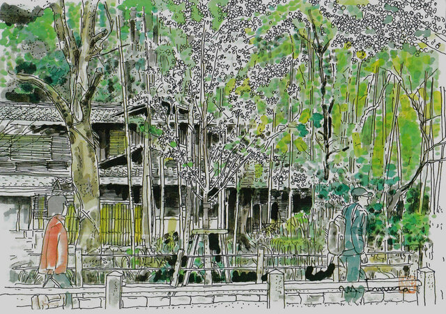 A4サイズ「 京都 哲学の道 新緑」 京の水彩画工房 | iichi 日々の