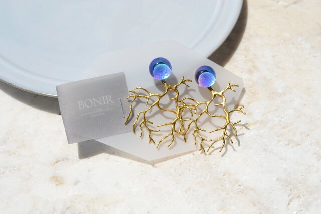 Ao+Corailの画像1枚目
