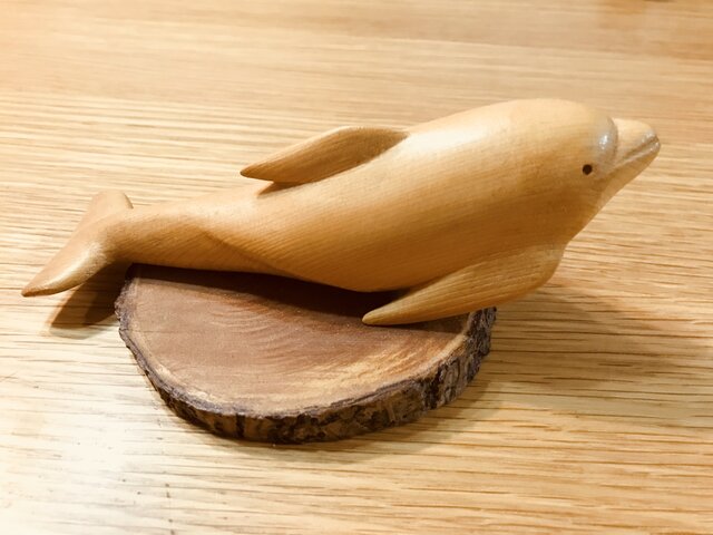 イルカの画像1枚目