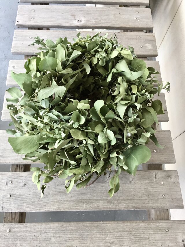 ユーカリリース