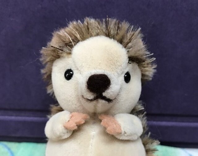 ハリネズミ | iichi 日々の暮らしを心地よくするハンドメイドや