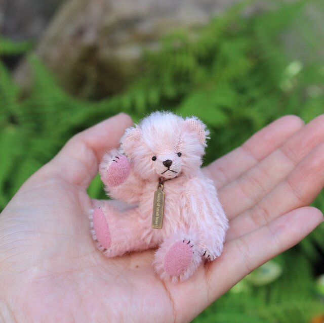ミニチュアテディベア ピンクの画像1枚目
