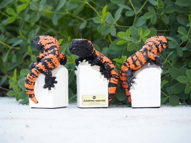 【未開封】アメリカドクトカゲ　根付 it-5b860eaa31b56-1200.jpg