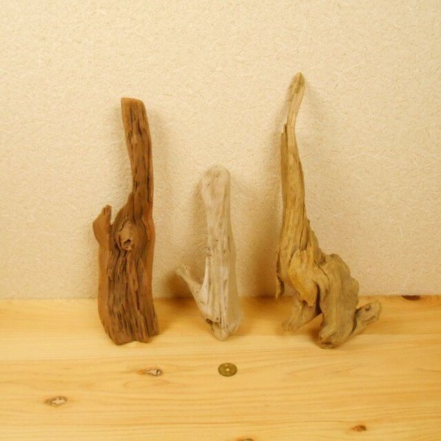 【温泉流木】赤白黄の色味のある流木3点セット 流木素材 インテリア素材 木材の画像1枚目