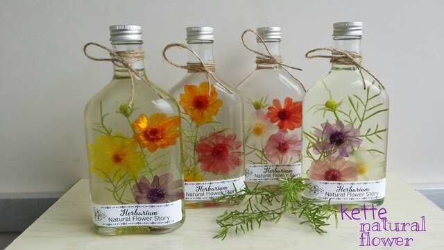 花物語 ジニアの三輪花びら 4種類から2本セット ハーバリウム♬の画像1枚目