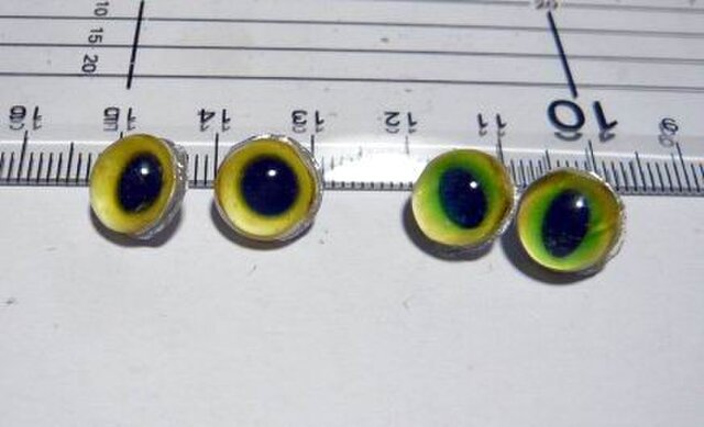 オーダーのお品○半球グラスアイ○猫目○10mmパーツつき2セットの画像1枚目