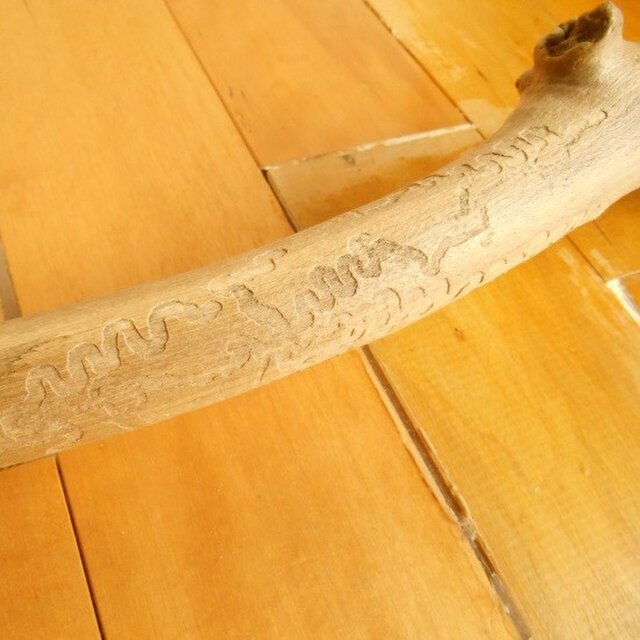 【温泉流木】ナゾの柄が入った木の皮付き長い流木棒 流木インテリアの画像1枚目
