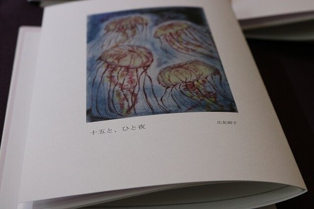 詩集『十五と、ひと夜』の画像1枚目