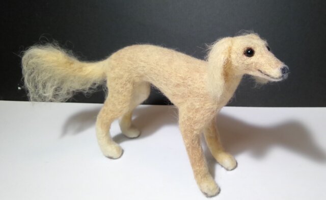 サルーキの子犬（売約済み） | iichi 日々の暮らしを心地よく