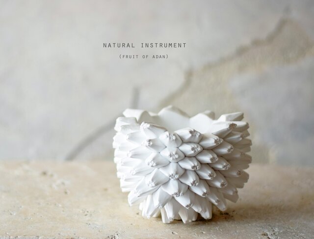 Natural instrument アダンの実(white)器のみの画像1枚目