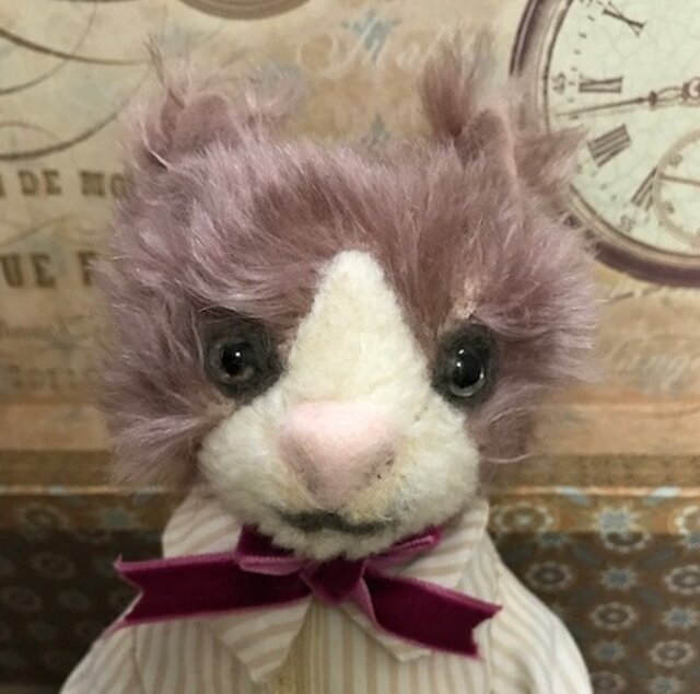 モヘア猫さん 男の子の画像1枚目
