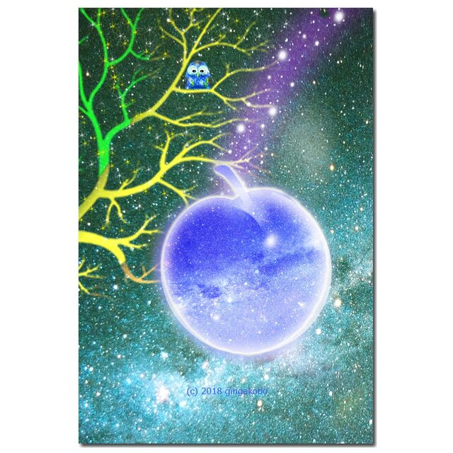 「フクロウと星空」 ほっこり癒しのイラストポストカード2枚組No.632の画像1枚目