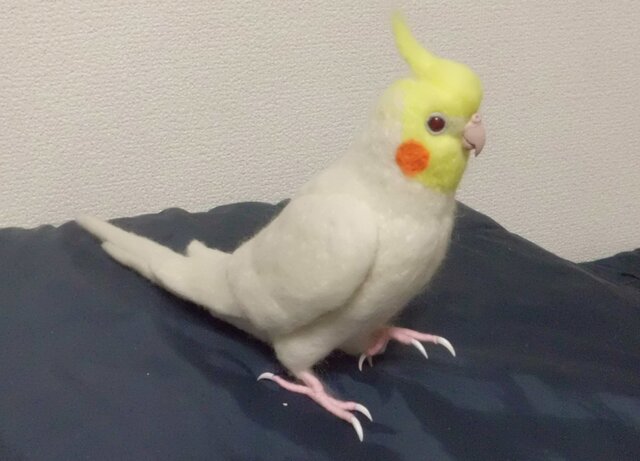 羊毛フィギュア 1/1サイズ♪ オカメインコ ルチノー☆羊毛フェルト