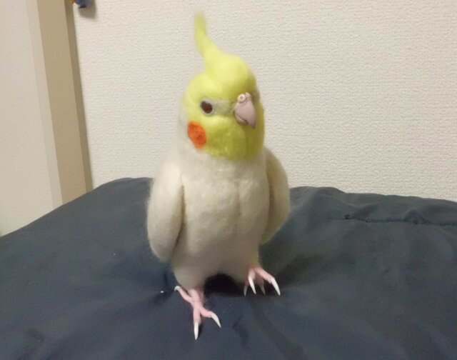 ライフサイズ オカメインコ ルチノー☆はじめのい～っ歩♪☆羊毛