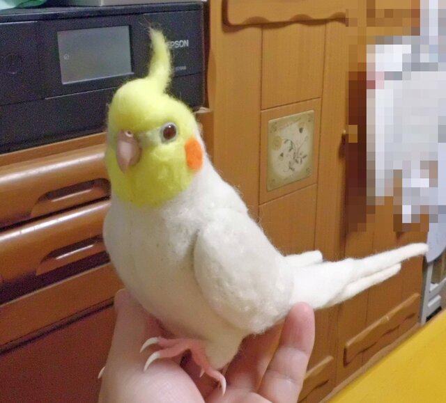 羊毛フィギュア 1/1サイズ♪ オカメインコ ルチノー☆羊毛フェルト