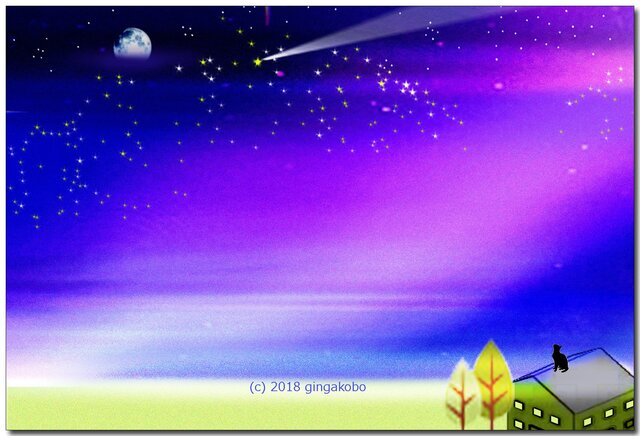 「星に魅せられて」 ほっこり癒しのイラストポストカード2枚組No.640の画像1枚目