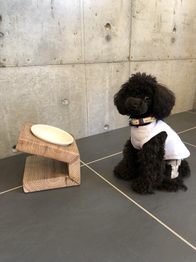 数量限定 　AM1　オーダーメイド　フードテーブル　犬　猫　食器　フードボール　ペット　51WORKS社製イヌネコカグ