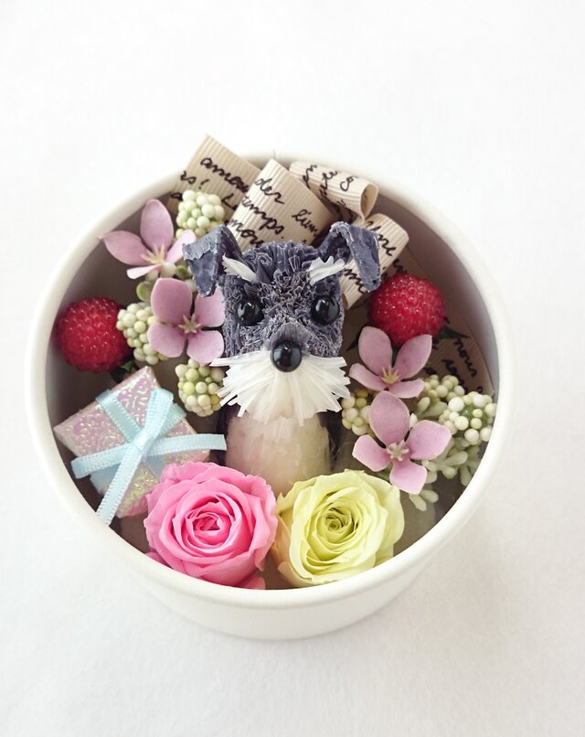 お花で作ったワンちゃん [ちいさな友達:ミニチュア・シュナウザーBOXアレンジ~」の画像1枚目