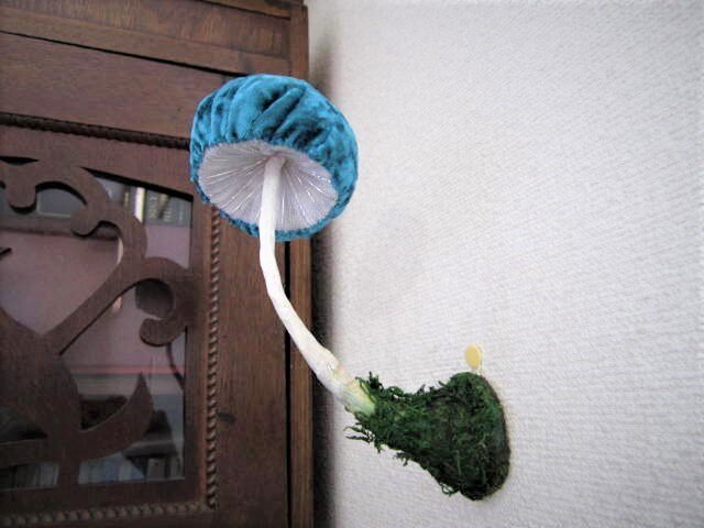 どこでもキノコ 4の画像1枚目